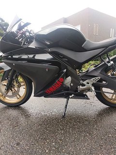 YZF5.jpg