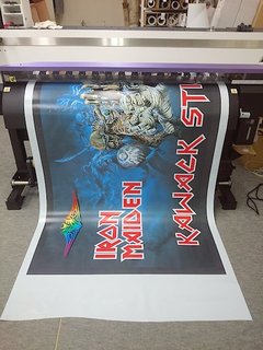 ironmaiden1.JPG